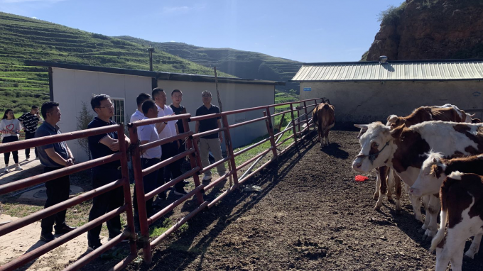 开云·官方版在线入口党委书记、董事长宋忠庆一行赴卓尼县柳林镇帮扶村调研慰问