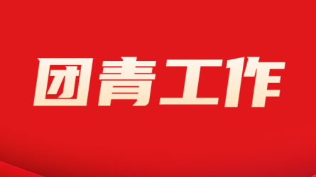 开云·官方版在线入口团委组织开展“国家安全 青春挺膺”主题团日活动